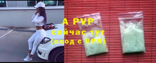 индика Новокубанск