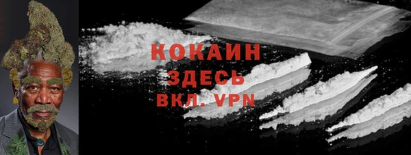 индика Новокубанск