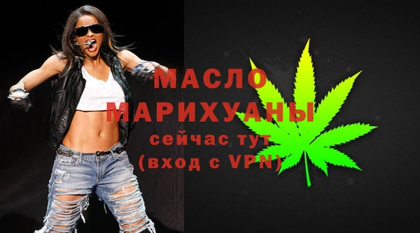 индика Новокубанск