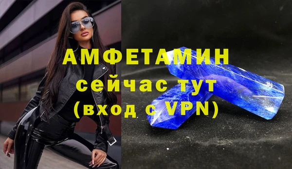 индика Новокубанск