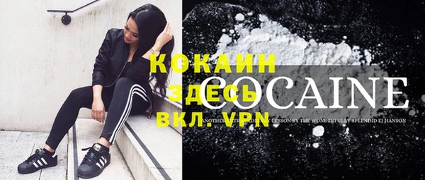 индика Новокубанск
