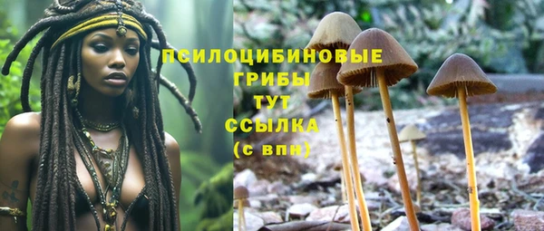 спайс Новодвинск