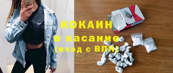 индика Новокубанск