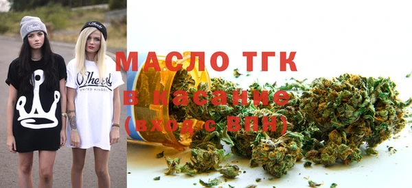 индика Новокубанск
