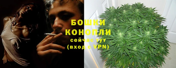 ALPHA PVP Новозыбков