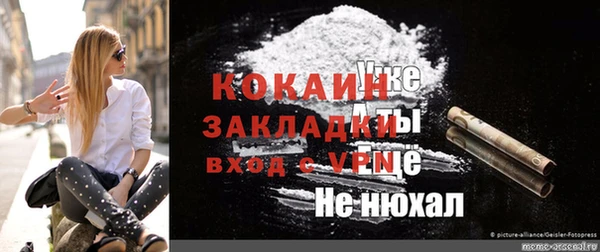 индика Новокубанск
