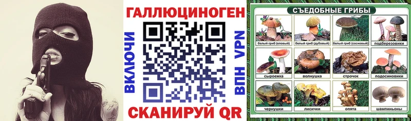 сколько стоит  Струнино  Галлюциногенные грибы мухоморы 