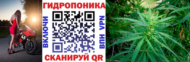 купить наркотик  Струнино  Конопля ГИДРОПОН 